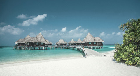 Island Escapes, Shared Moments Await